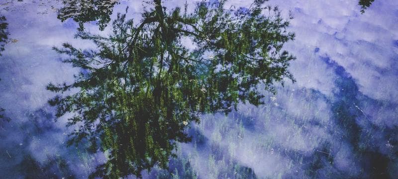 하양리버뷰컨벤션